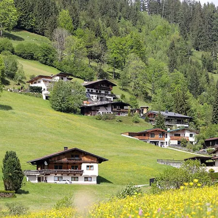 Kitzbueheler-alpen Chalet شاليه
